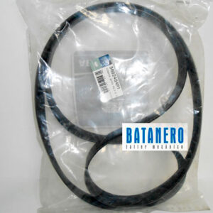 Correa Alternador 3692484m1