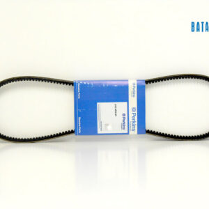 Correa Alternador 2614B645 6678005A1