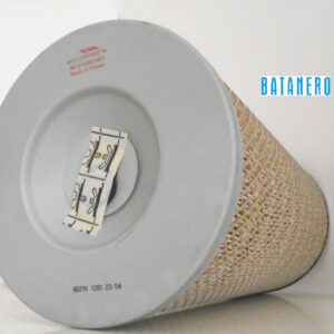 Filtro de aire exterior 3146939R1