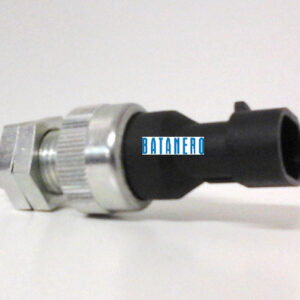 Interruptor freno de mano 6500052m91