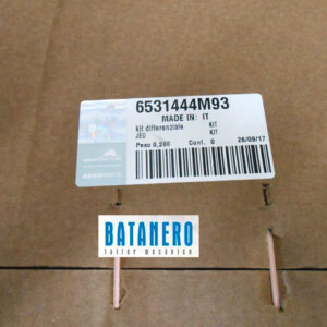 Kit diferencial trasero 444M 6531444m93