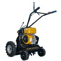 Removedor Avicola Benza ER73AV2T