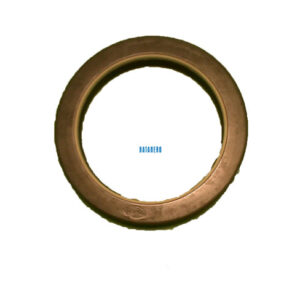 Reten reduccion trasera 3019954x1 tractores Landini