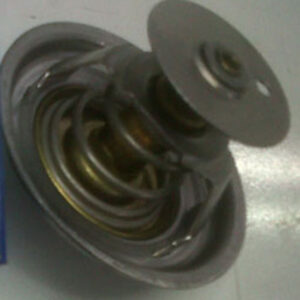Termostato tractores Landini 2485C034 6677924A1