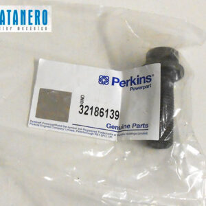 Tornillo polea 32186139 6676673A1