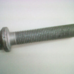 Tornillo polea Ciguenal 32186146 6676675A1