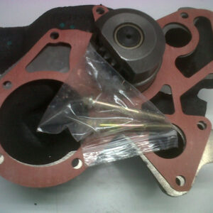 Bomba de agua U5MW0193 6680272A1 tractores Landini